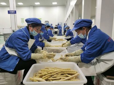 桐梓 龍頭企業(yè)帶動方竹筍精深加工，助推食品產(chǎn)業(yè)高質(zhì)量發(fā)展
